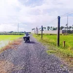 Bán đất 1.000m2 thổ cư tại Lạc Tấn, Tân Trụ, Long An - Ảnh thu nhỏ 3