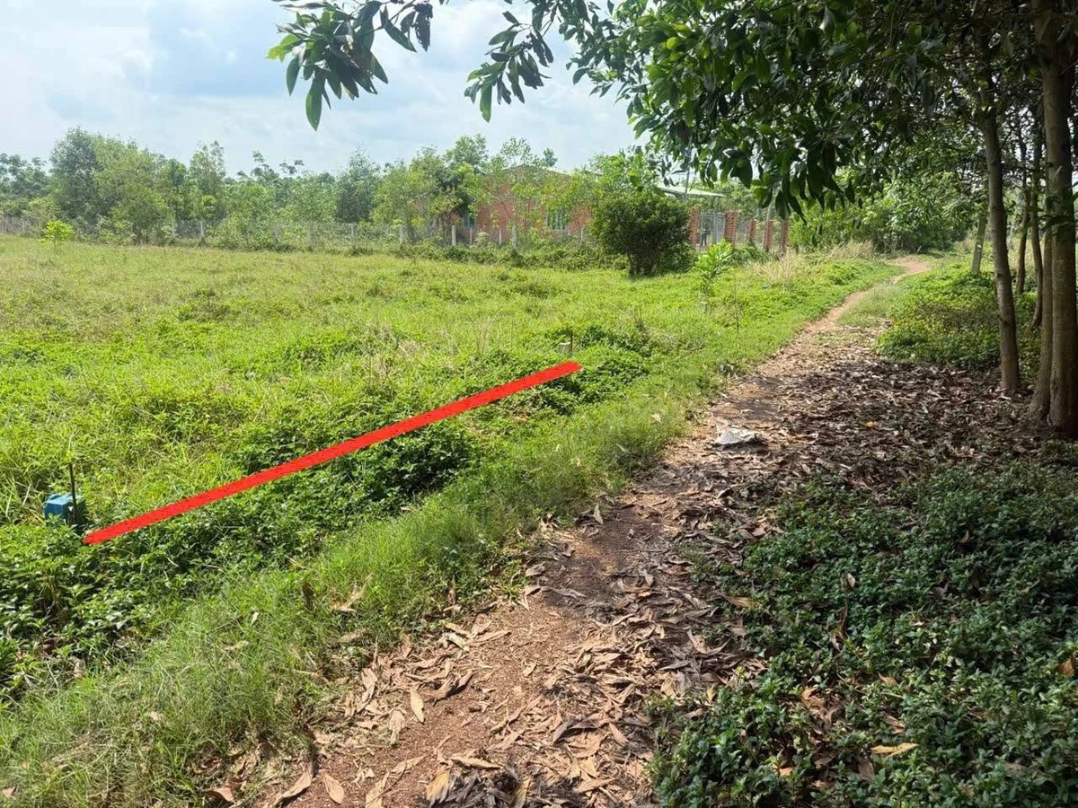 Bán đất 250m2 giá 169 triệu Tây Ninh - Ảnh thu nhỏ 2