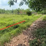 Bán đất 250m2 giá 169 triệu Tây Ninh - Ảnh thu nhỏ 2