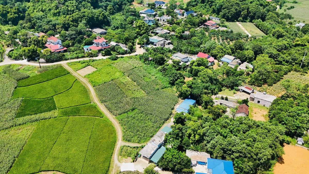Bán đất Cao Dương 1.114m² 1,8 tỷ - Ảnh 1