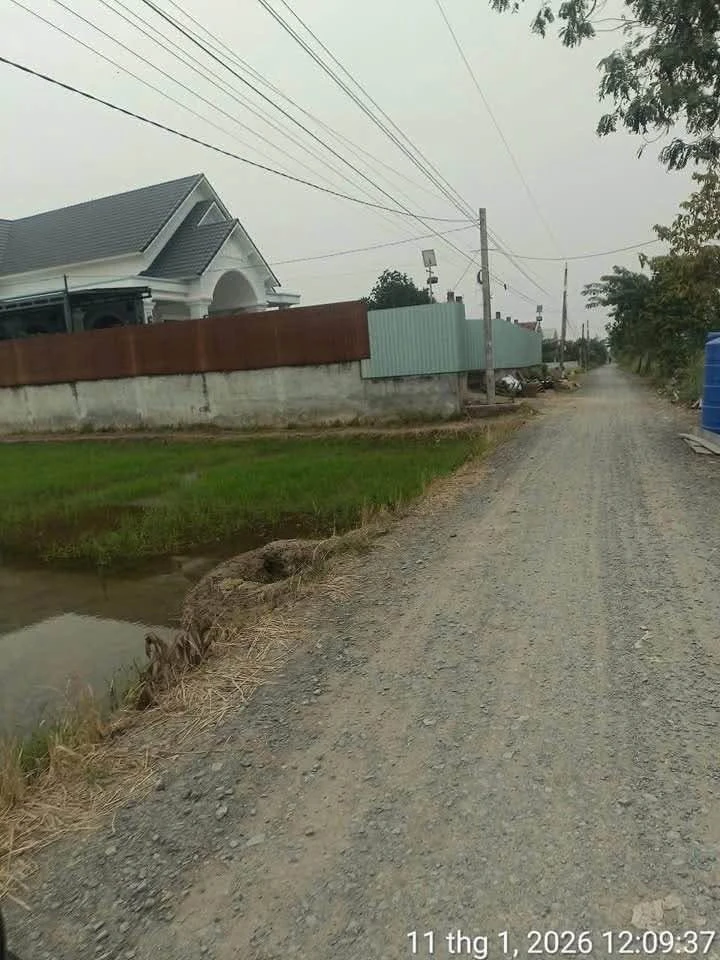 Bán đất thổ cư 1000m2 mặt tiền đường cầu Ông Mộc, Xã Mỹ Lệ, Cần Đước, giá 4,2 tỷ - Ảnh thu nhỏ 2