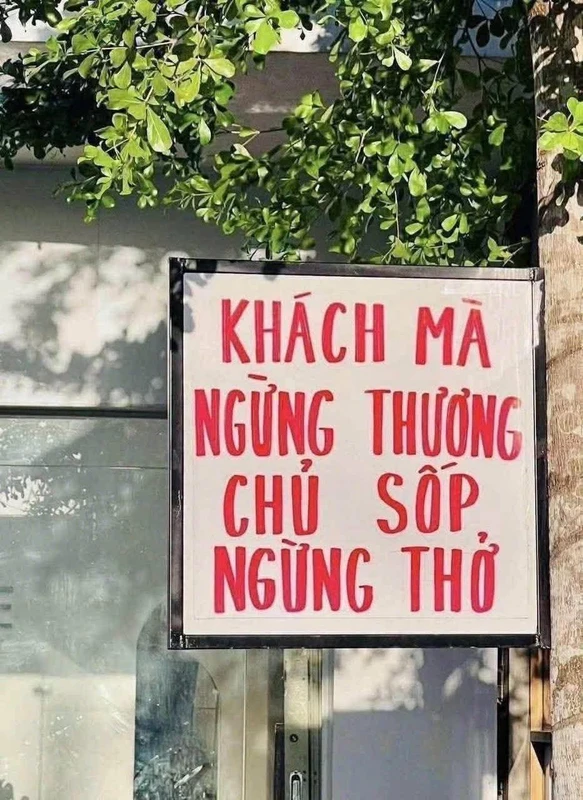 Bán đất 3023 m2 Tây Ninh 450 triệu/1000 m2 7t7nm