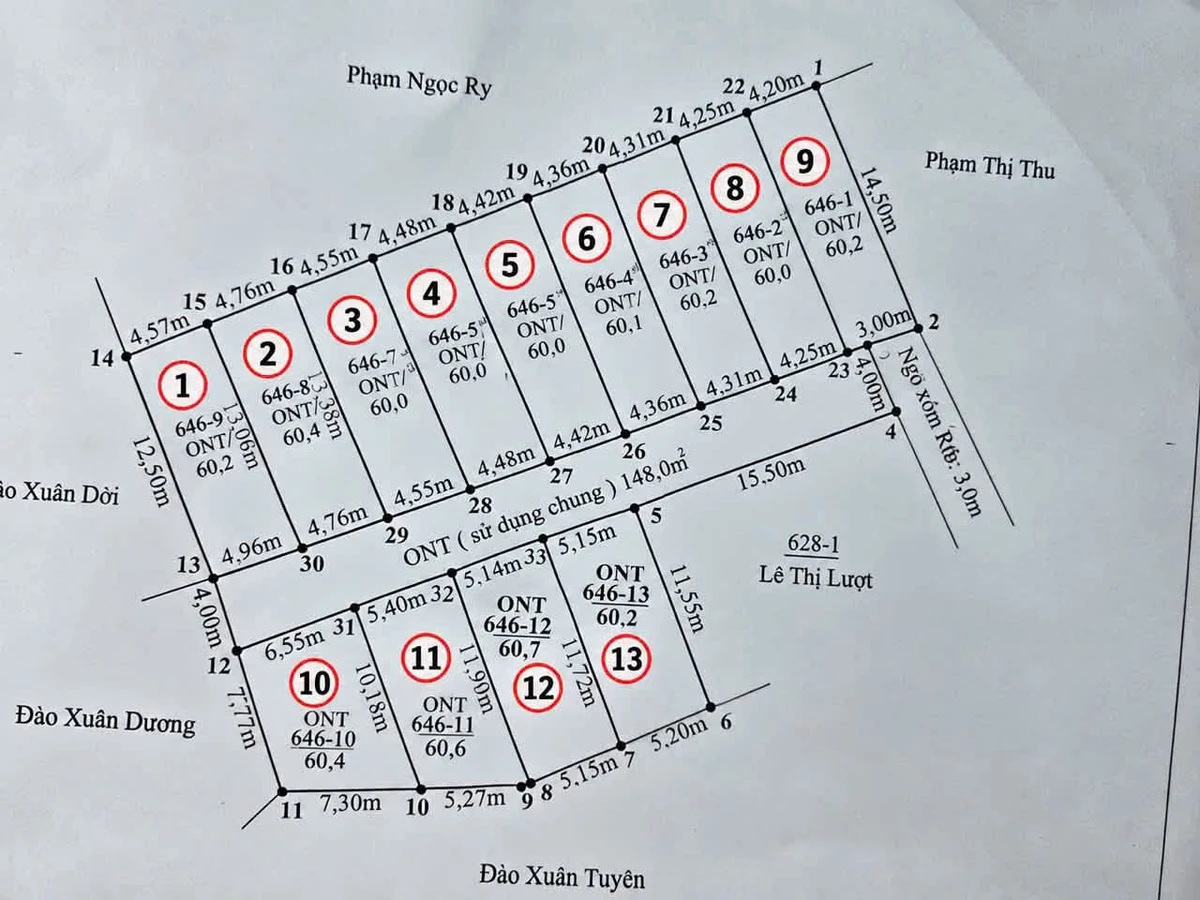 Bán đất An Thái, An Lão, Hải Phòng 60m² giá 500 triệu - Ảnh thu nhỏ 3