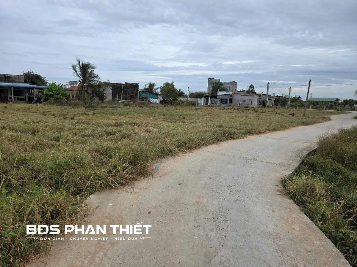 Bán đất 1.000 m² quy hoạch thổ cư, Kim Bình, Phan Thiết - Ảnh thu nhỏ 5