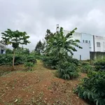 Bán đất nghỉ dưỡng 1018m² Bảo Lộc, 4 tỷ 3 - Ảnh thu nhỏ 3