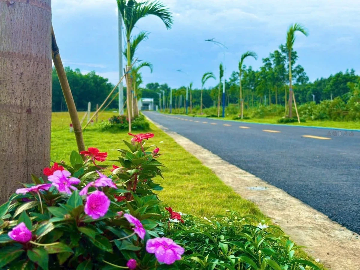 Bán đất 225m² (100m² thổ cư) KDC Minh Thạnh, TP.HCM, giá 545 triệu - Ảnh 1