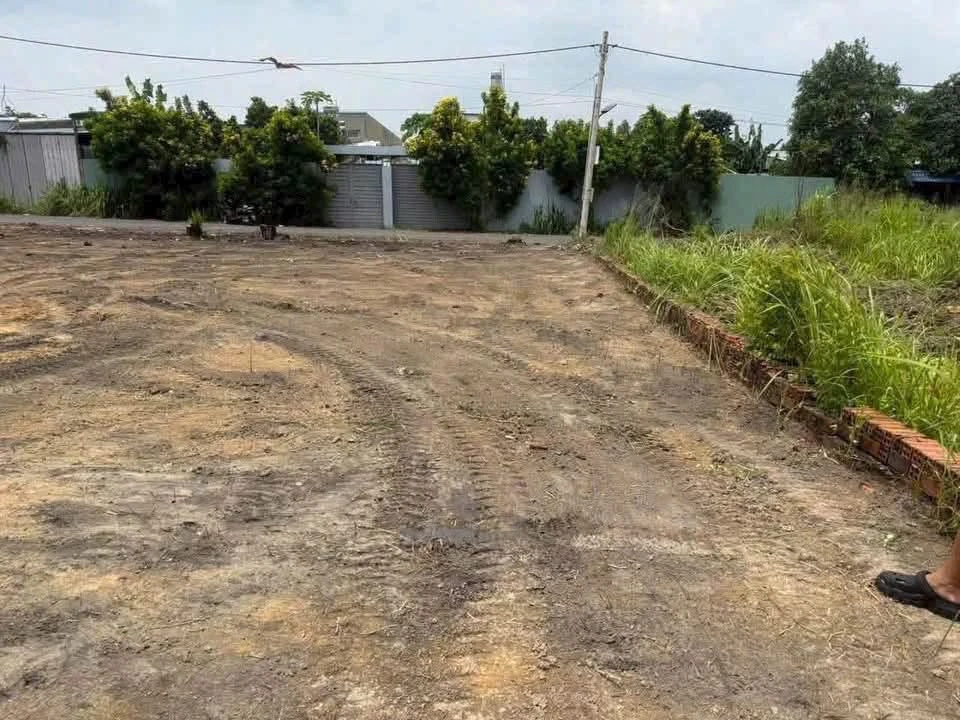 Bán lô đất thổ cư 125m² Trảng Dài Biên Hòa 1,99 tỷ - Ảnh 1
