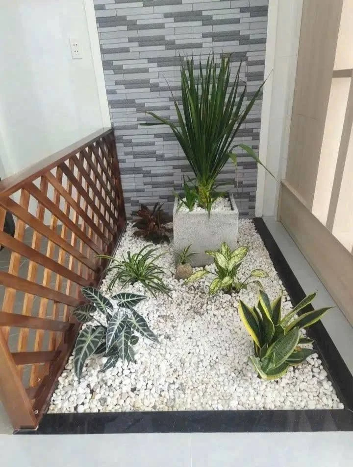 Bán nhà cấp 4 96m² 2PN khu Lan Anh 4, Hòa Long, TP Bà Rịa, giá 2,28 tỷ - Ảnh thu nhỏ 5
