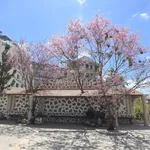 Chính chủ đầu tư mở bán khu biệt thự Đà Lạt phong cách Pháp, với tên gọi "La Cerise Dalat Villas - Ảnh thu nhỏ 18