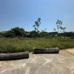 Bán đất Hòa Phước, Hòa Xuân, 120m2, 1 tỷ 6 - Ảnh thu nhỏ 1