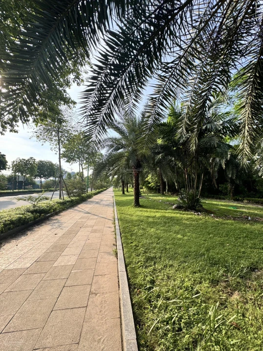 Bán đất tại Ngọc Hà, 1,1tỷ, 67,5m2, mặt tiền 4,5m, đường vào 7m, hot - Ảnh thu nhỏ 3