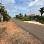 Bán gấp nhà vườn sầu riêng mặt tiền Tân Thành 919m2 - 500 triệu - Ảnh thu nhỏ 1
