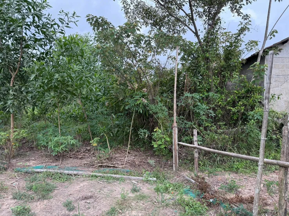 Bán lô đất cây lâu năm 224 m2 giá 39 triệu tại phường Phong Điền, Huế - Ảnh thu nhỏ 5