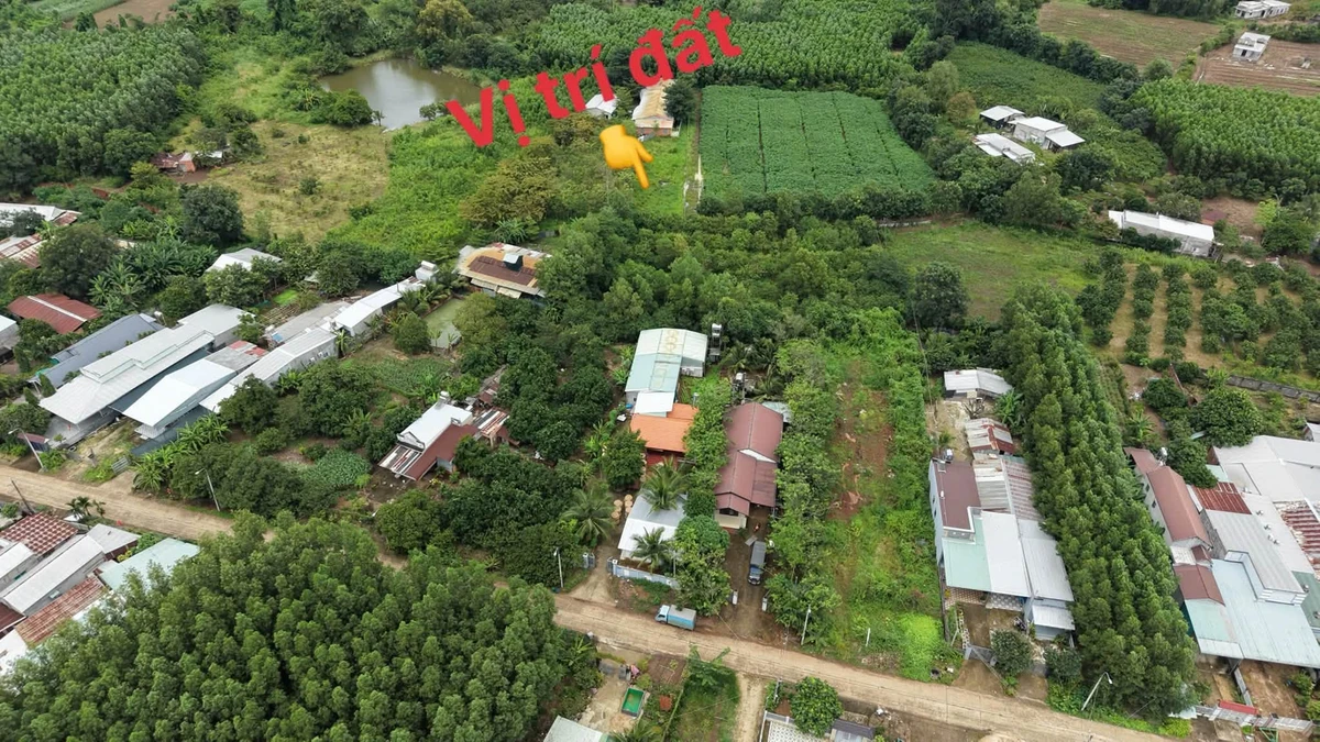 Bán đất Cẩm Mỹ Đồng Nai 850 triệu - Ảnh thu nhỏ 2