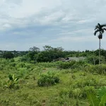 Bán đất 2.325m² thổ cư 2.000m² mặt tiền 40m Phú Cát Hà Nội - Ảnh thu nhỏ 1