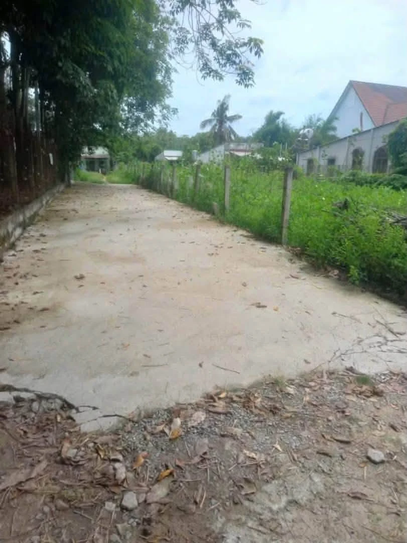 Bán lô đất vườn An Điền 1.465m2 giá 2 tỷ 850 - Ảnh 1