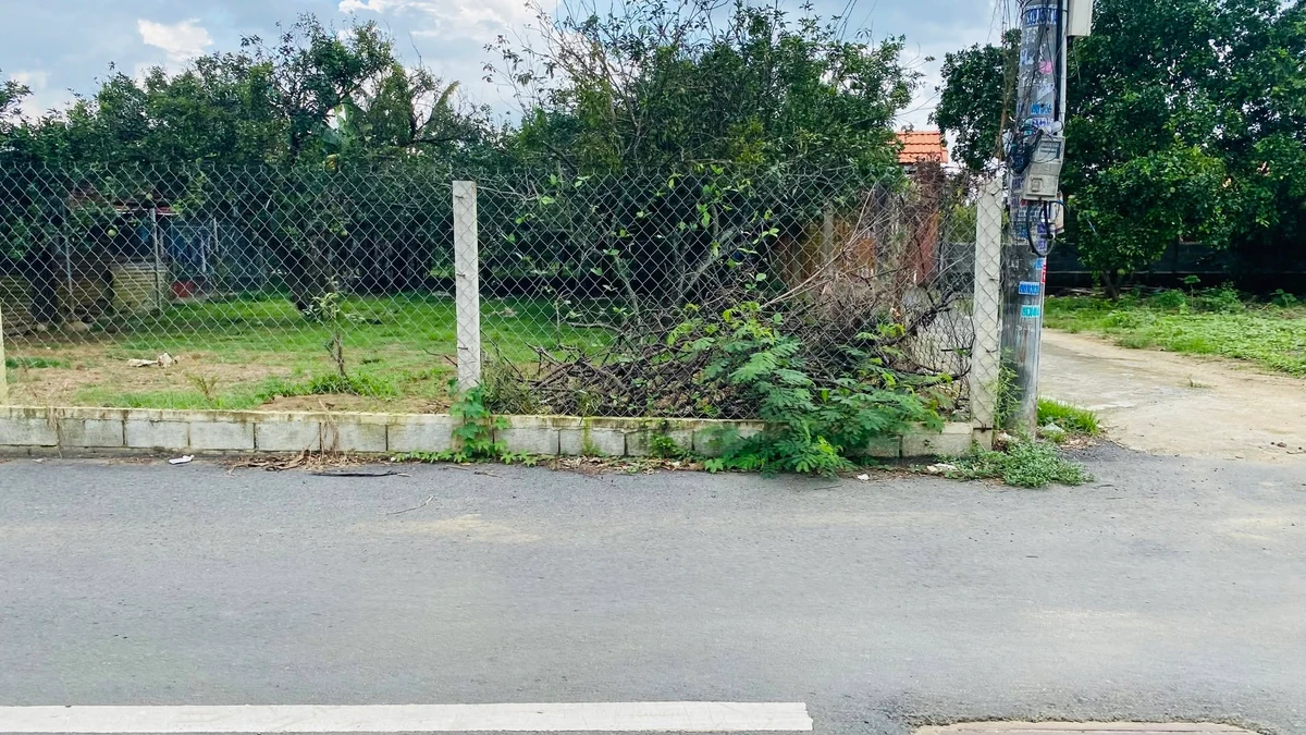 Bán đất 160m2 gần Ngã Tư Tân Triều 1 tỷ 3 - Ảnh 1
