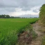 Bán đất nhánh Trần Hữu Độ An Bình Rạch Giá 3900m2 - Ảnh thu nhỏ 4