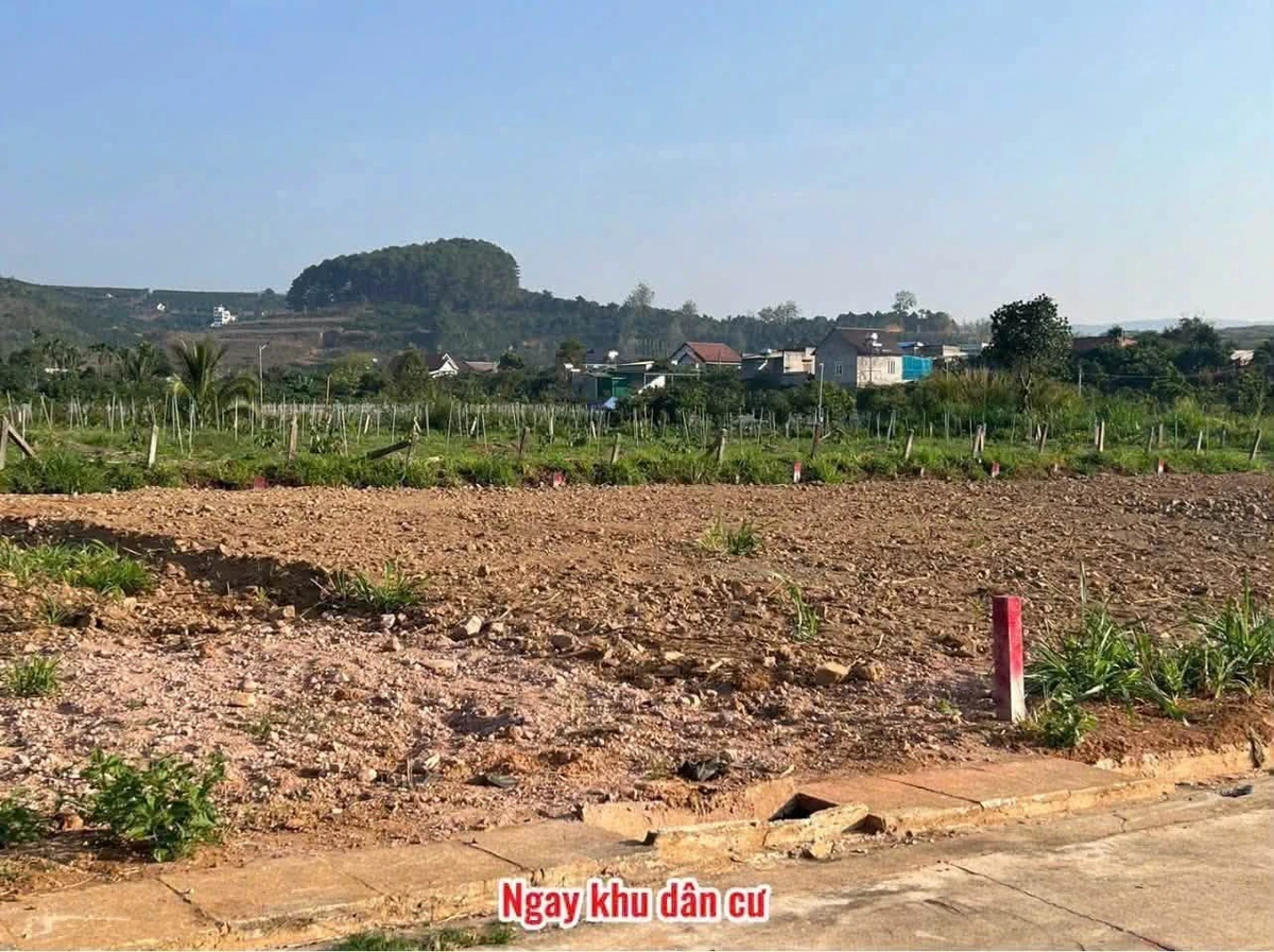 Bán đất Mê Linh gần Đà Lạt 175m² 899 triệu - Ảnh thu nhỏ 3