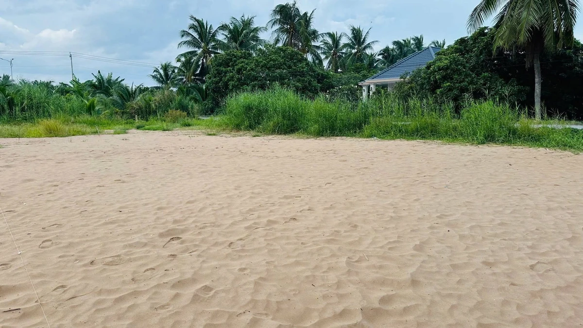 Bán đất vườn 1.650m² (600m² thổ cư) Đồng Tháp 4,2 tỷ - Ảnh thu nhỏ 5
