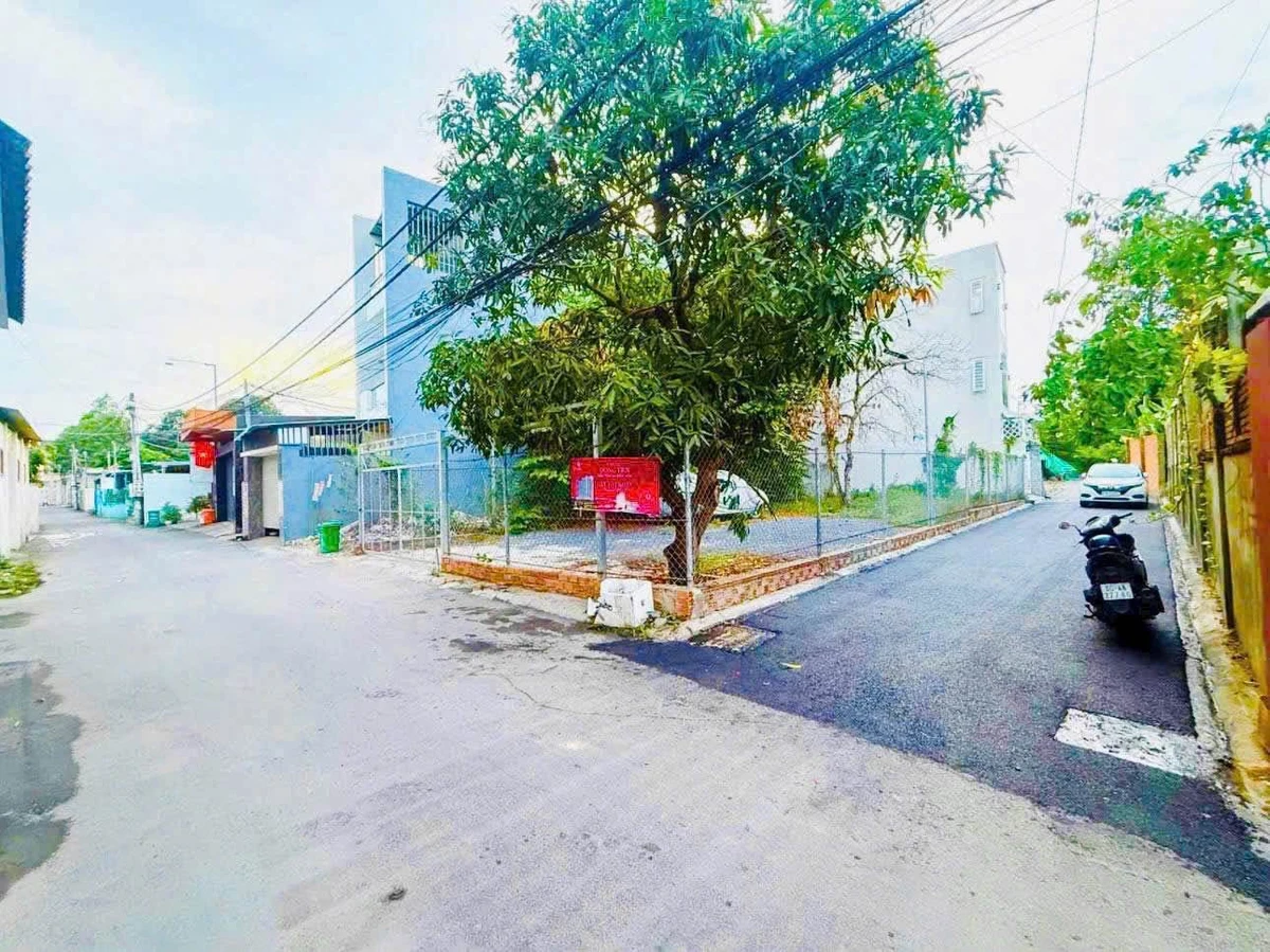 Bán 3 lô đất liền kề 62m² gần chợ Hiệp Hoà, Biên Hoà - Ảnh 1