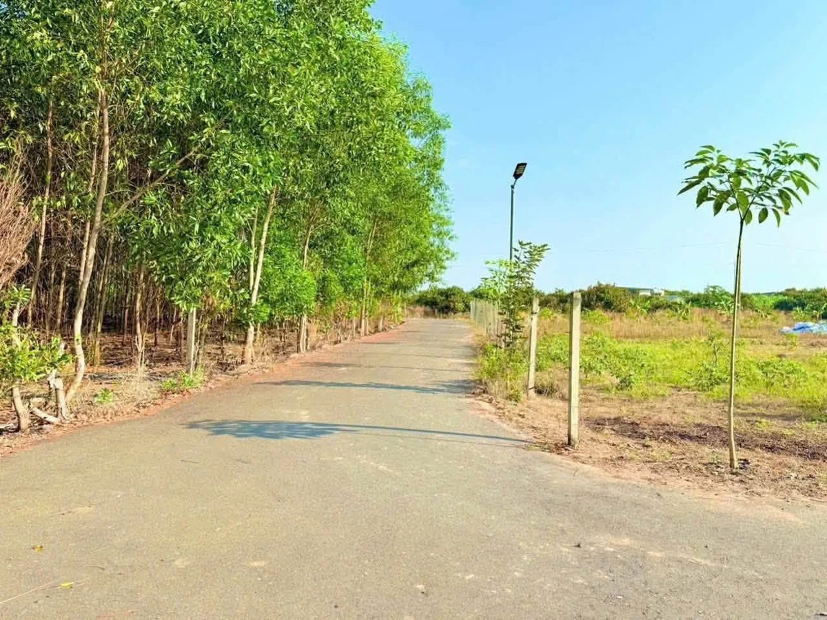 Bán đất 1208m2 xã Hòa Hội Xuyên Mộc Vũng Tàu 1 tỷ 5 - Ảnh thu nhỏ 2