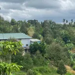 Bán đất Lâm Bô Phúc Thọ Lâm Đồng 1,6 ha sầu riêng - Ảnh thu nhỏ 1