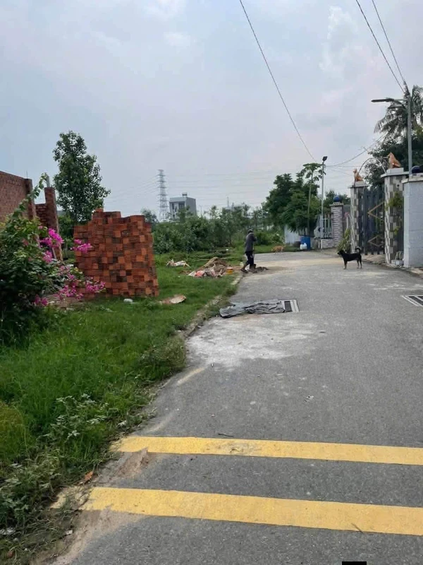 Bán đất 102,5m² đối diện chợ Tân Bình, Dĩ An