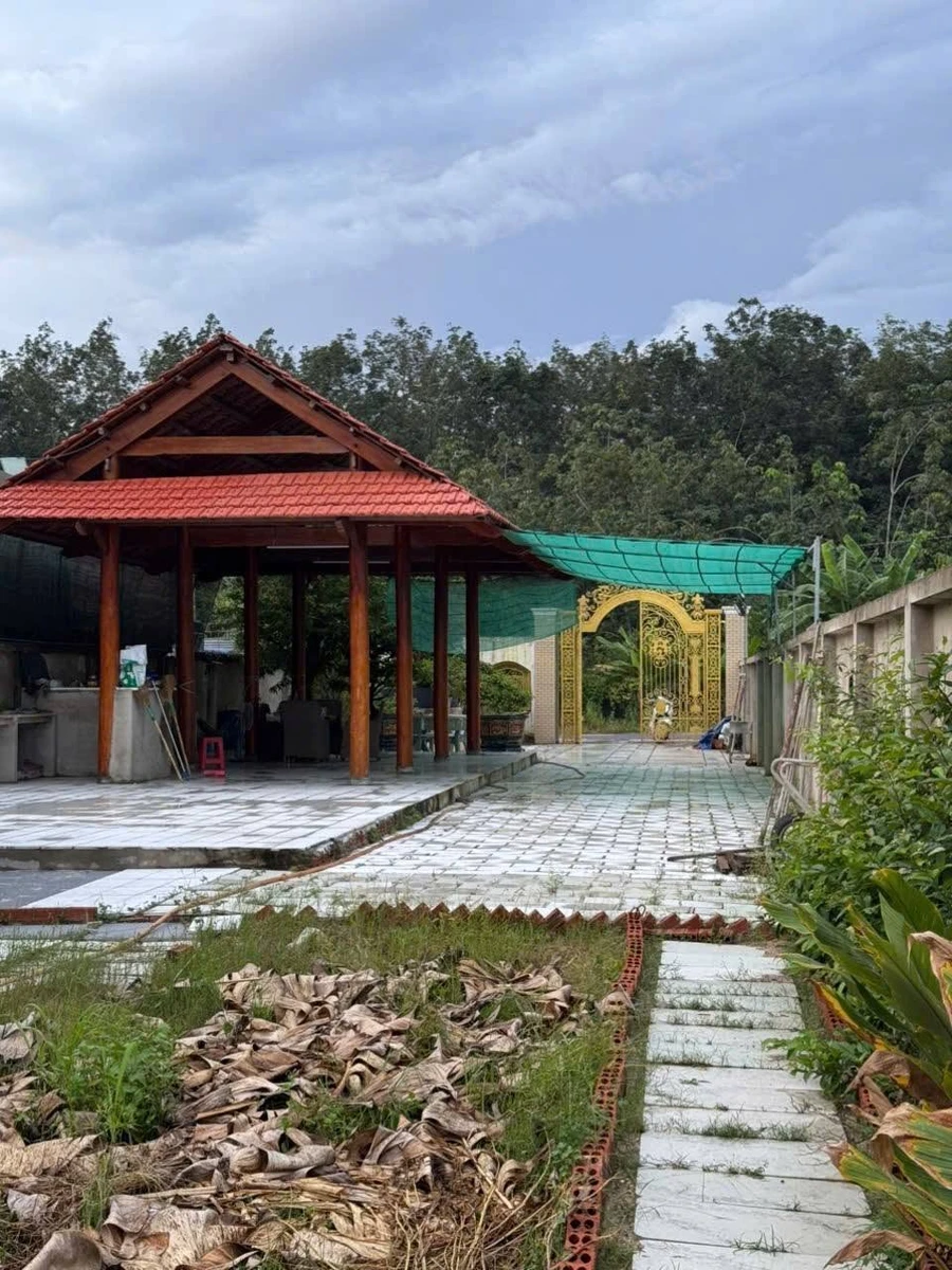Bán nhà vườn mặt tiền Tân Hiệp 493,8m2 Tân Phú - Ảnh 1