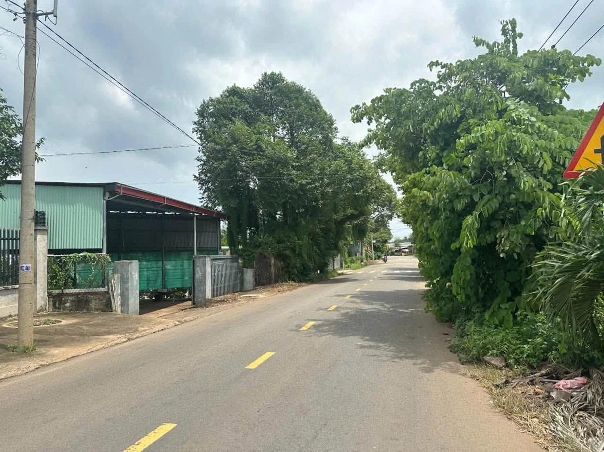 Bán đất 1.778 m² mặt tiền đường, gần chợ Láng Me, Xuân Đông, Đồng Nai - Ảnh thu nhỏ 5