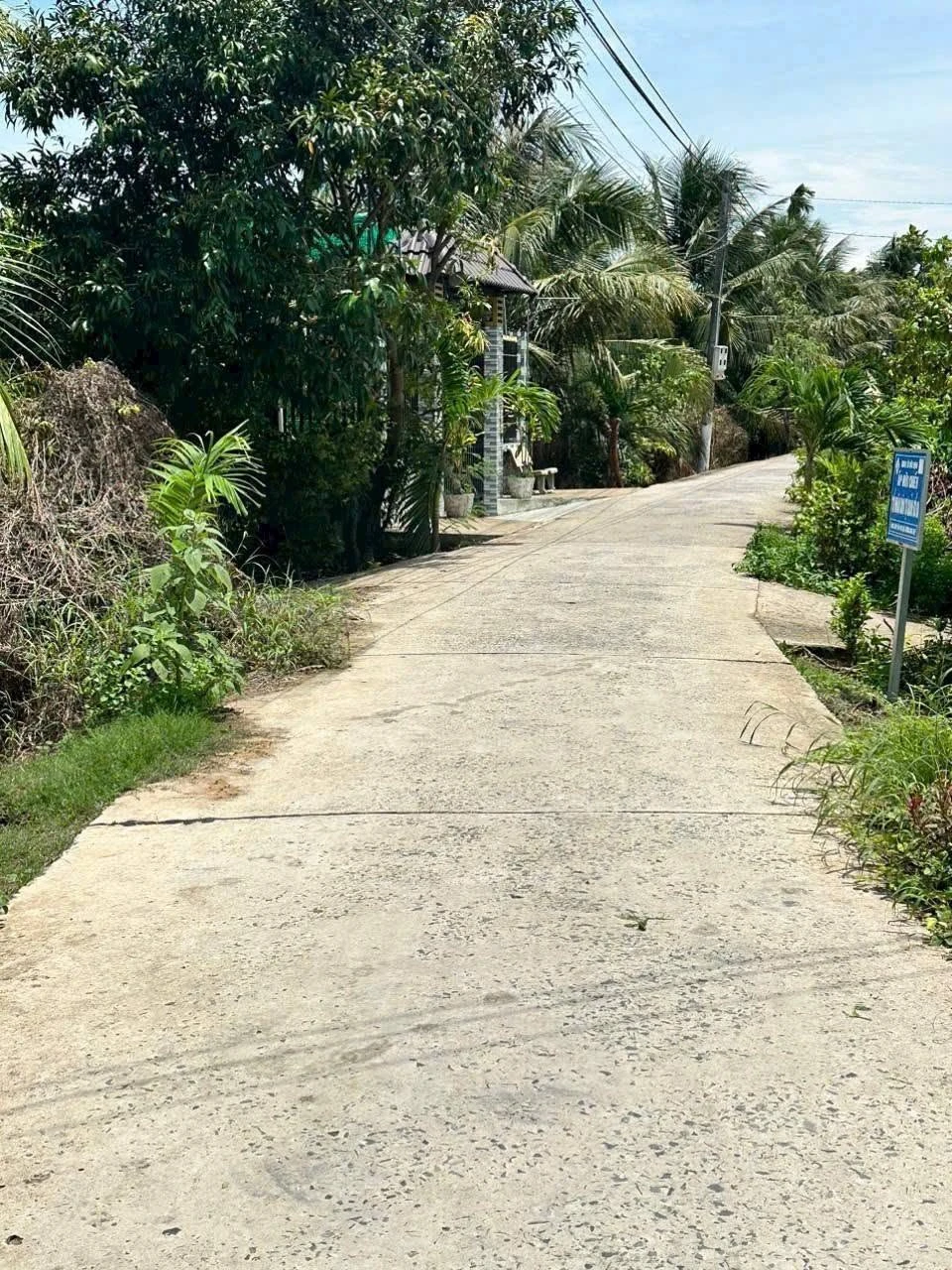 Bán đất vườn dừa 1160m² Phú Tân, Củ Chi - Ảnh 1