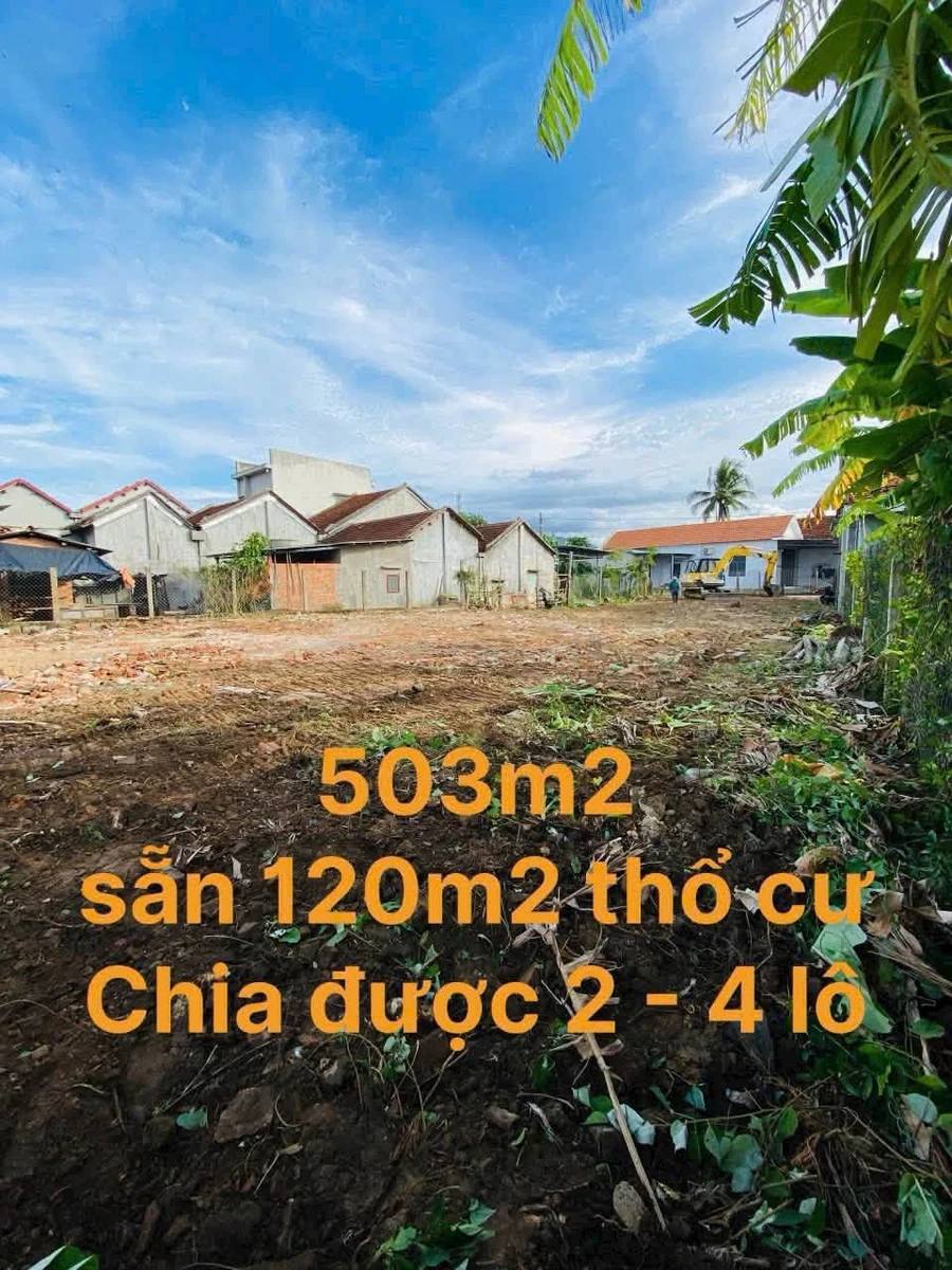 Bán đất 503m² thổ cư xã Sơn Thành Cần Giờ - Ảnh thu nhỏ 4