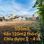 Bán đất 503m² thổ cư xã Sơn Thành Cần Giờ - Ảnh thu nhỏ 4