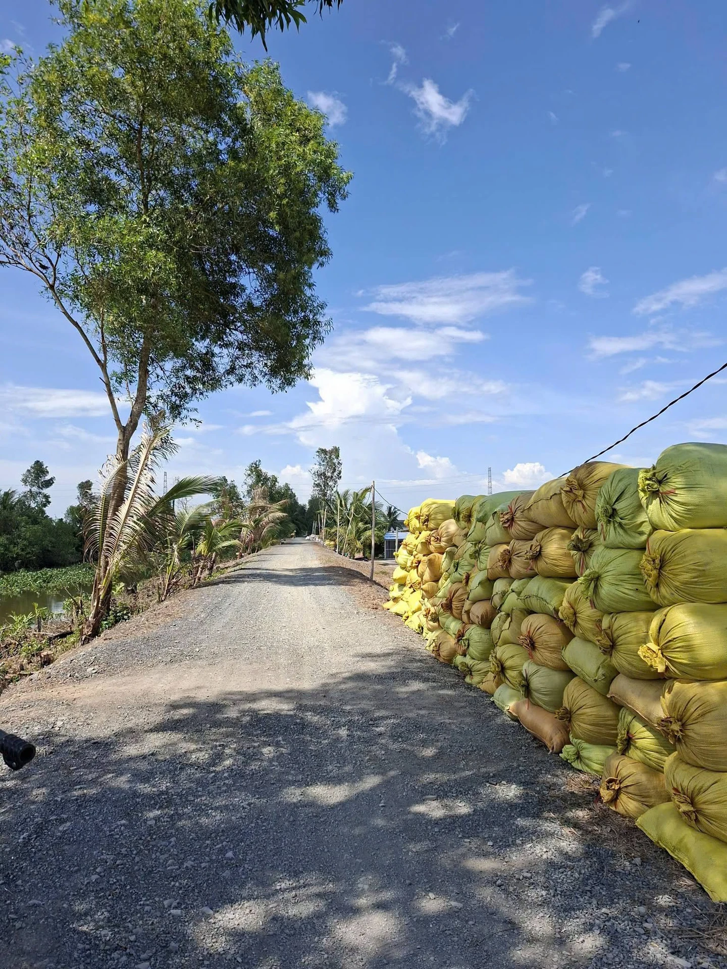 Bán đất vườn 1200m² Ấp 3 Tân Thành Thủ Thừa - Ảnh 1