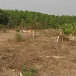 Bán đất diện tích 250m² (5x50m) tại thôn 8, phường Đắk Cấm, tỉnh Quảng Ngãi - Ảnh thu nhỏ 2