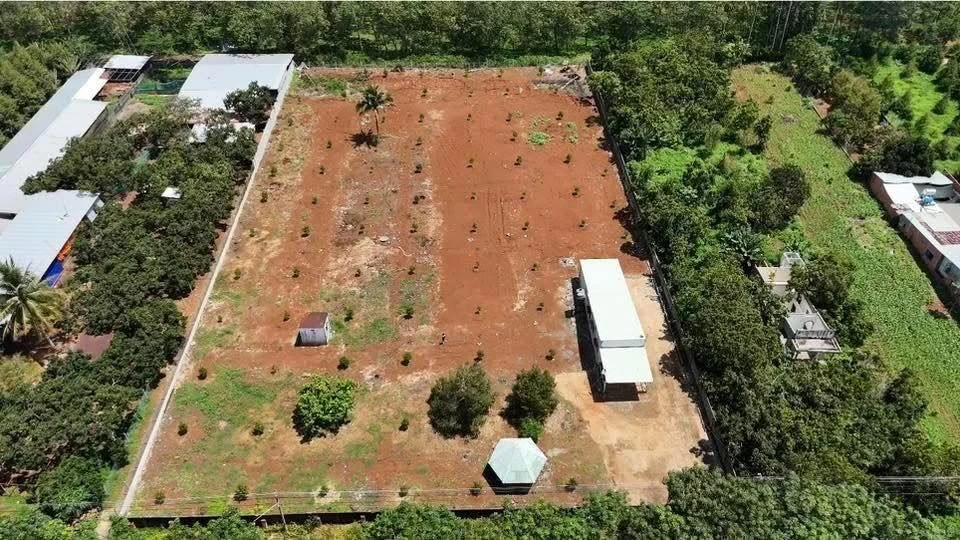 Bán lô đất 300m² mặt tiền 120m tại Bà Rịa 5 tỷ 3 - Ảnh 1