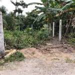 Bán đất thổ cư 6x19m đường nhựa gần chợ Sâm Bua, xã Song Lộc, Trà Vinh - Ảnh thu nhỏ 3