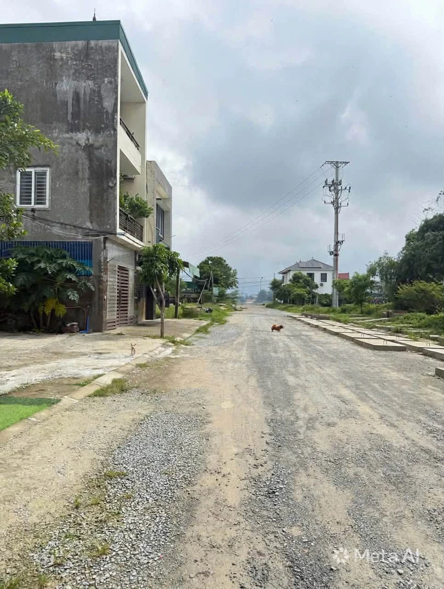 Bán đất 90m² mặt tiền 4,5m Hưng Đông, Vinh - Ảnh thu nhỏ 3
