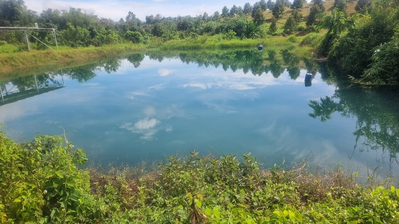 Bán đất 3,5ha xã Nghĩa Trung Đồng Nai 11 tỷ