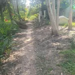 Bán đất đẹp tại Kinh 30 tháng 4, 900 triệu, 1000m2, nhiều tiện ích - Ảnh thu nhỏ 3