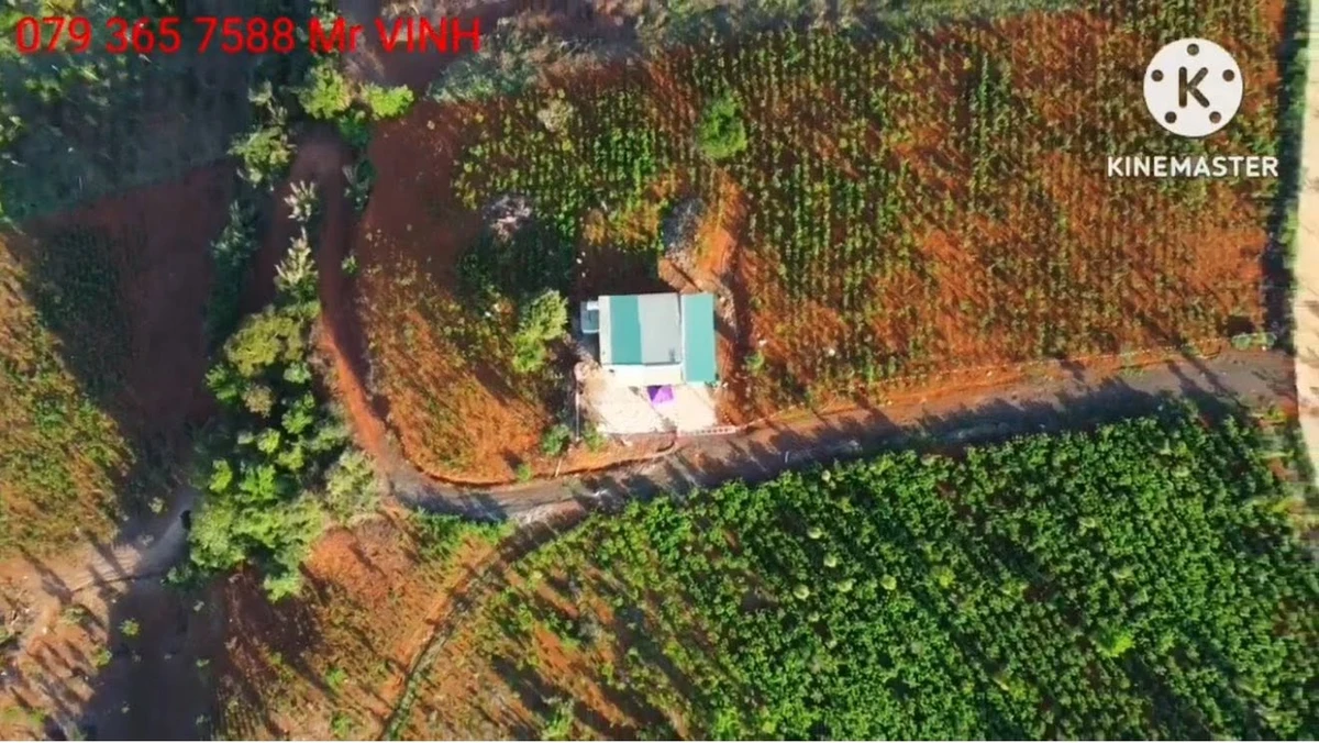 Bán đất 11000m² gần dân cư tại Tuy Đức, Lâm Đồng - Ảnh thu nhỏ 3