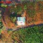 Bán đất 11000m² gần dân cư tại Tuy Đức, Lâm Đồng - Ảnh thu nhỏ 3
