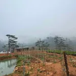 Bán 8ha đất bãi ruộng xã Đạ Sar, Lạc Dương, Lâm Đồng - Ảnh thu nhỏ 4