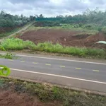 Bán đất 2 mặt tiền Tránh Đông 2,7 sào, 4,4 tỷ - Ảnh thu nhỏ 1