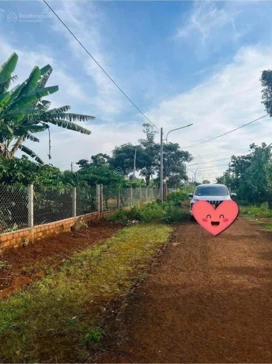 350m2 sẵn thổ 100m2, Thành phố Pleiku, nhà cấp 4 sẵn, nở hậu 15m, 990 triệu - Ảnh thu nhỏ 2
