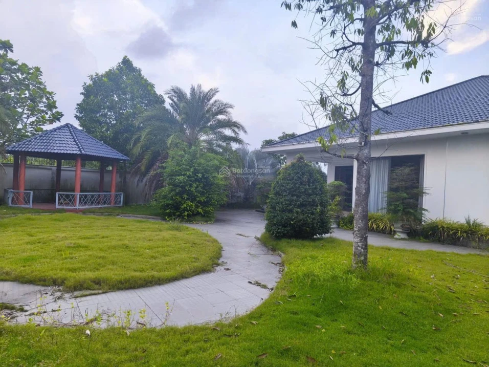 Ngân hàng bán biệt thự gần Khu di tích Giàn Gừa - Ảnh thu nhỏ 4