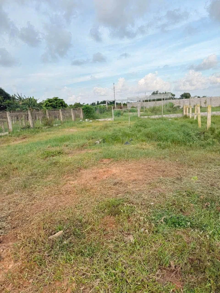 Bán đất thổ cư 110m² thôn 3 Hàm Liêm, sổ hồng riêng, giá 580 triệu - Ảnh thu nhỏ 3