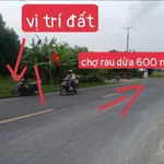 Bán đất tại Quốc lộ 1A, Hưng Mỹ, Cái Nước, Cà Mau, 799 triệu, 160.4 m2, Hot - Ảnh thu nhỏ 8