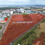 Bán đất mặt tiền Phan Anh, Buôn Ma Thuột, 122,5m² giá 7,9 tỷ - Ảnh thu nhỏ 5