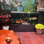 Bán nhà 3 tầng 101m² mặt tiền 11m Điện Biên Phủ Hải Dương - Ảnh thu nhỏ 3